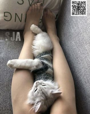 關于毛利蘭H_1080動漫在線觀看
